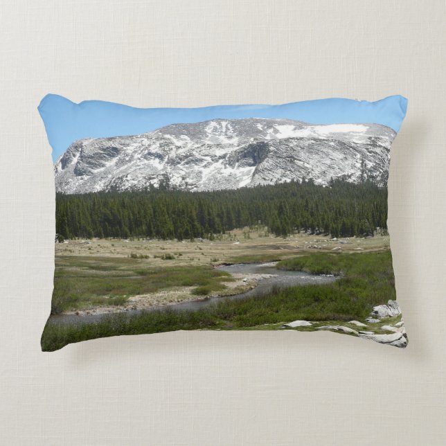 High Country Mountain Stream I Decorative Cushion (Front)