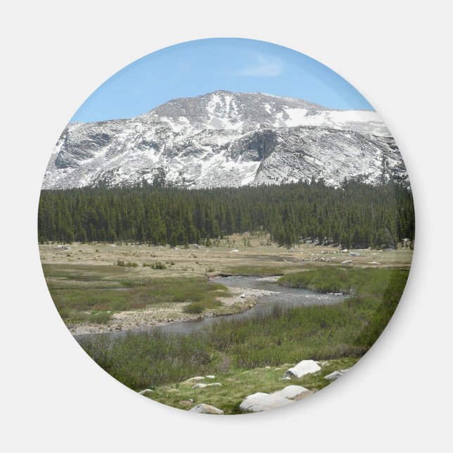 High Country Mountain Stream I Magnet (Front)