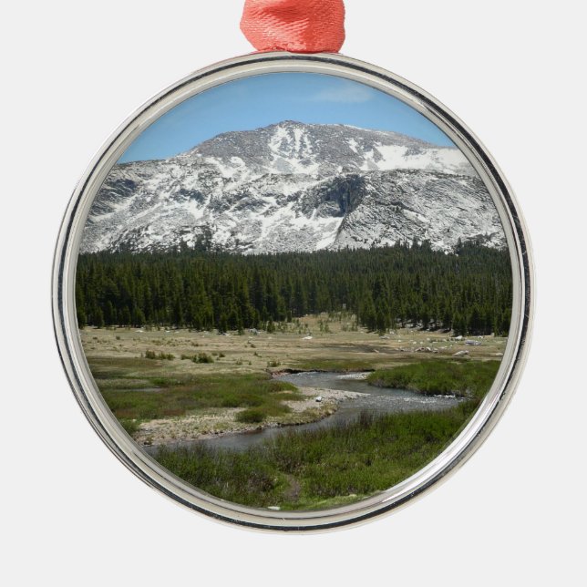 High Country Mountain Stream I Metal Tree Decoration (Front)