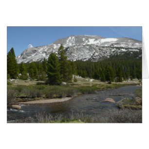 High Country Mountain Stream II at Yosemite
