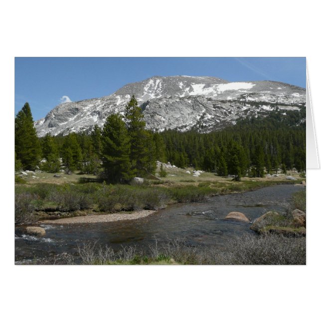 High Country Mountain Stream II at Yosemite (Front Horizontal)