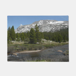 High Country Mountain Stream II at Yosemite Doormat