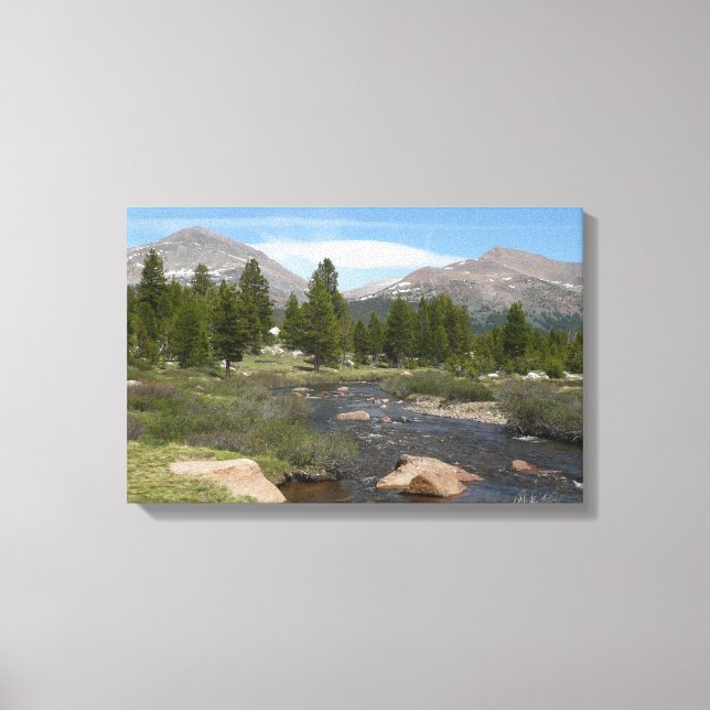 High Country Mountain Stream III at Yosemite Canvas Print (Front)