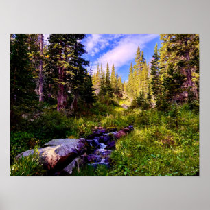 High Country Triumph – Colorado Mountain Hike Poster