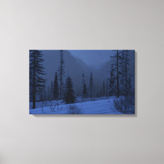 High Country (Winter/Night) Canvas Print