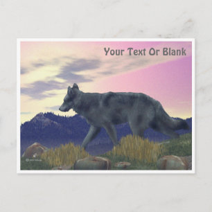 High Country Wolf Postcard