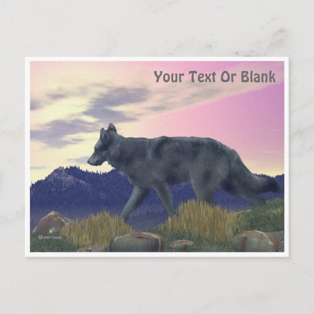 High Country Wolf Postcard (Front)