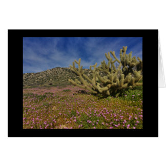 High Desert spring