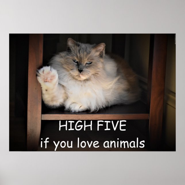 HIGH FIVE if you love animals,  Poster (Front)