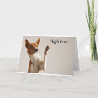 **HIGH FIVE** IT IS "YOUR BIRTHDAY"