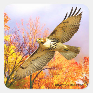 "High Flyer" Stickers