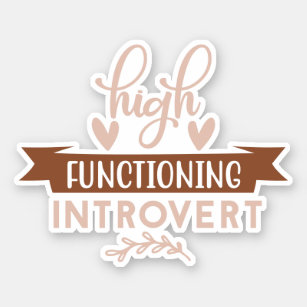 High Functioning Introvert