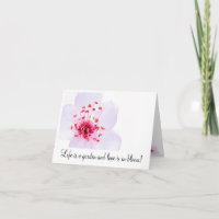 high-key-sakura-blossom-800, Life is a garden a...