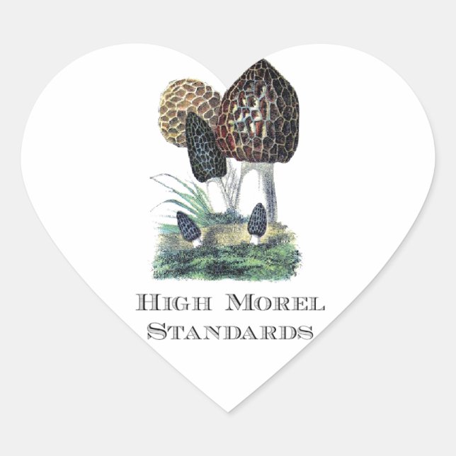 High Morel Standards Heart Sticker (Front)