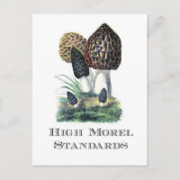 High Morel Standards