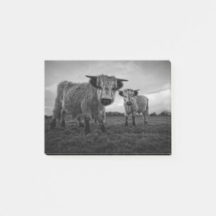 High Park Cow Mono Post-it Notes