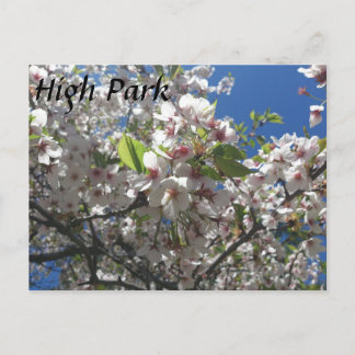 High Park Postcard