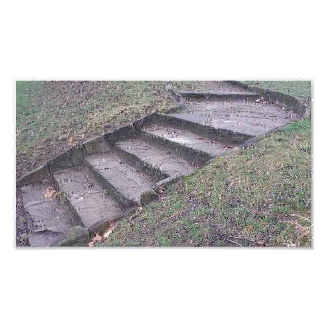 High Park Stone Stairs Photo Print (Front)