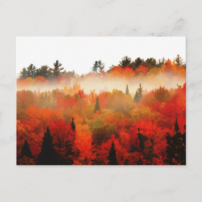 High Peaks Adirondacks Autumn Mountains Forest Postcard (Front)