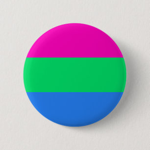 High Quality Polysexual Flag Button