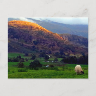 High Rigg Cumbria Postcard