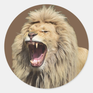High Tension Lion Classic Round Sticker