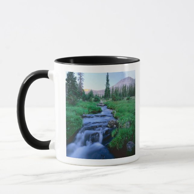 HIGH UINTAS WILDERNESS, UTAH. Stillwater Fork Mug (Left)