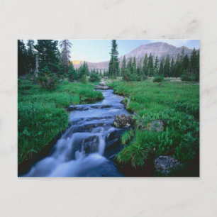 HIGH UINTAS WILDERNESS, UTAH. Stillwater Fork Postcard