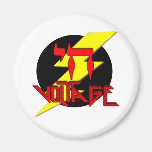 HIGH VOLTAGE MAGNET