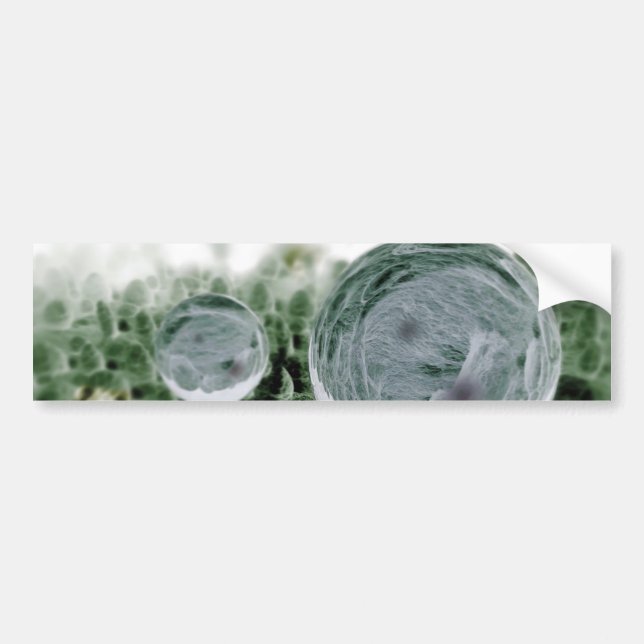 High Water Repellency of the Lotus Effect Bumper Sticker (Front)