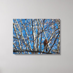 Higher Up Canvas Print