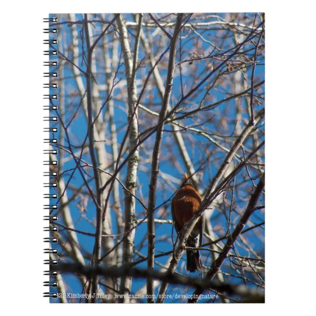 Higher Up Notebook (Front)