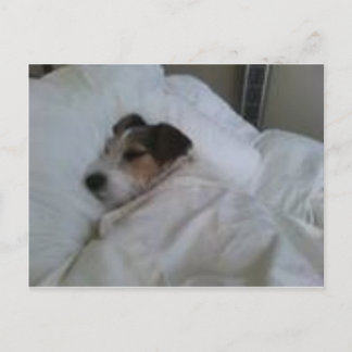 Highest Quality Postcards