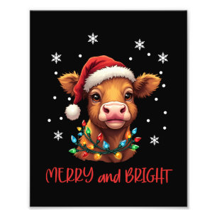 Highland Baby Cow Christmas Lights Photo Print