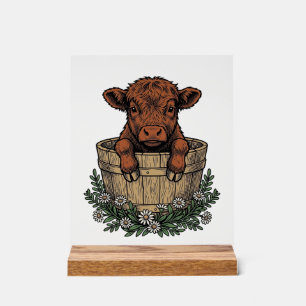 Highland Calf Shirt Vintage Daisy Bucket Art Acrylic Sign