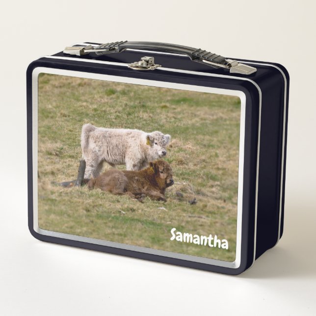 Highland Calves Metal Lunchbox (Front)