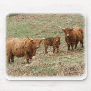 Highland Cattle 9Y316D-030 Mouse Mat