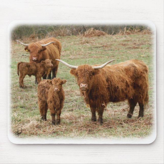 Highland Cattle 9Y316D-055 Mouse Mat (Front)