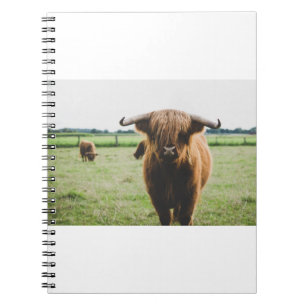 HIGHLAND CATTLE AT THE FIELD DURING DAY NOTEBOOK