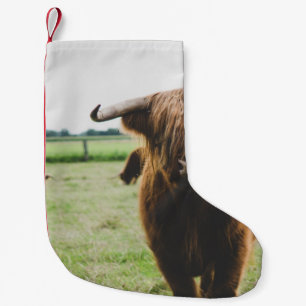 HIGHLAND CATTLE AT THE FIELD DURING DAY SMALL CHRISTMAS STOCKING