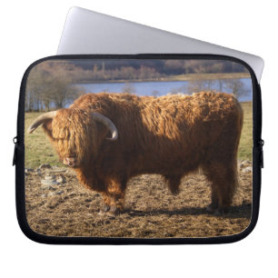 Highland Cattle Bull, Scotland Laptop Sleeve