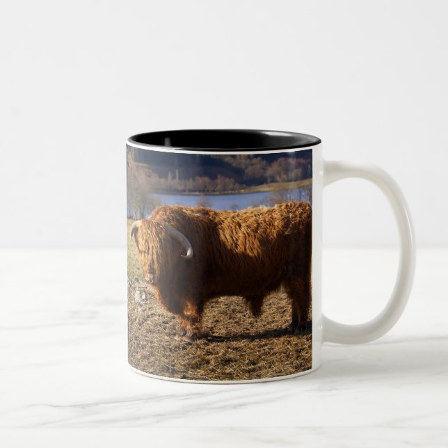 Highland Cattle Bull, Scotland Two-Tone Coffee Mug (Right)