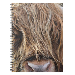 HIGHLAND CATTLE COW FACE NOTEBOOK