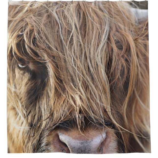 HIGHLAND CATTLE COW FACE SHOWER CURTAIN (Front)