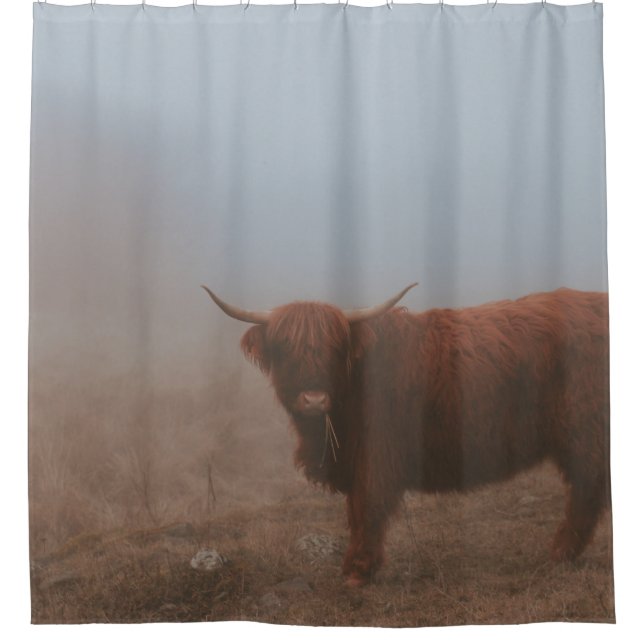 HIGHLAND CATTLE COW SHOWER CURTAIN (Front)