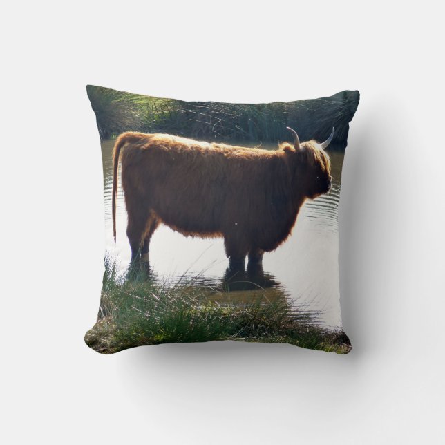 Highland Cattle Cushion (Front)
