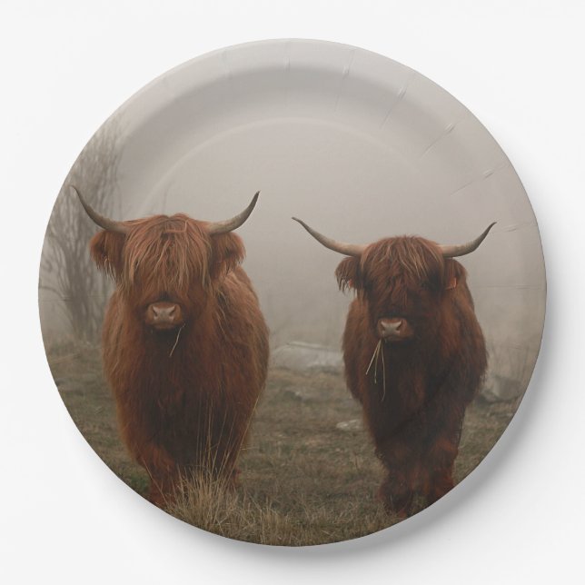 Highland Cattle Fog Photo Paper Plate (Front)