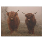 Highland Cattle Fog Photo