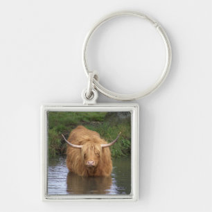 Highland Cattle Key Ring