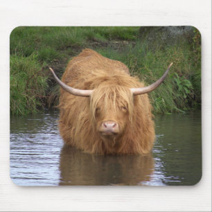 Highland Cattle Mouse Mat